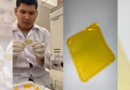 Com apoio da Fapemat, pesquisa da UFMT desenvolve embalagem biodegradável a partir de óleo de pequi