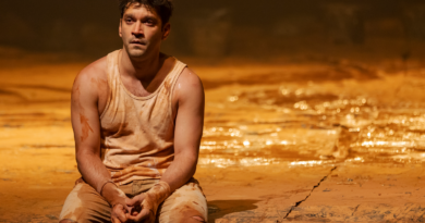 Cuiabá recebe o espetáculo premiado internacionalmente “Tom na Fazenda”