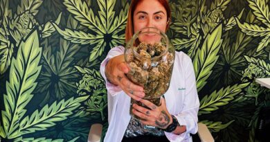 Quando existe propósito, a gente não para: Anvisa dá passo histórico para uso da cannabis medicinal no Brasil