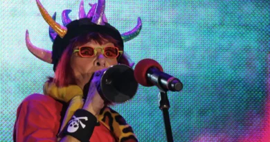 Rainha do rock, Rita Lee será padroeira da liberdade na Mocidade