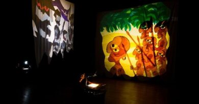 Espetáculo de sombras 2 Mundos é gratuito e neste fim de semana