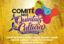 Comitê de Cultura de Mato Grosso realiza o projeto “Comitê nos Quintais de Cultura”