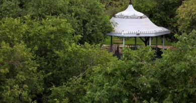 Sema abre inscrições para Trilha Interpretativa de Flora no Parque Mãe Bonifácia