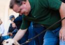 SunPet chega à 5ª edição com shows e arrecadação para cães e gatos de famílias carentes