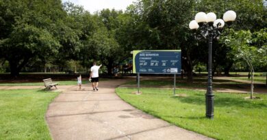 Sema realiza Trilha Interpretativa de Flora no Parque Mãe Bonifácia neste fim de semana