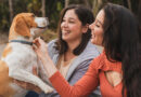 Dia do Amigo: Neurobiologia explica a lealdade interespécie e impulsiona mercado pet de R$ 80 bilhões no Brasil