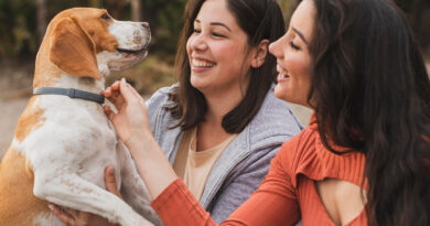 Dia do Amigo: Neurobiologia explica a lealdade interespécie e impulsiona mercado pet de R$ 80 bilhões no Brasil