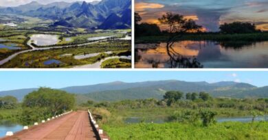 Turismo no Pantanal combina natureza, cultura e experiências no Mato Grosso e no Mato Grosso do Sul