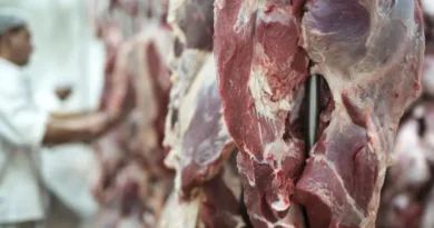 Carne bovina produzida em Mato Grosso chega a 88 países em 2026