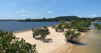 Praias paradisíacas, imersão na floresta e cultura: viva a essência de Alter do Chão