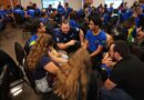Estudantes de MT representam o Brasil no WorldSkills Shanghai 2026, na China