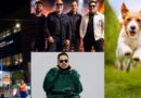Tem Estação Pet, música ao vivo e atrações diversas neste fim de semana em shopping da capital