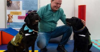 Max propõe criação de censo para mapear população de cães e gatos em MT